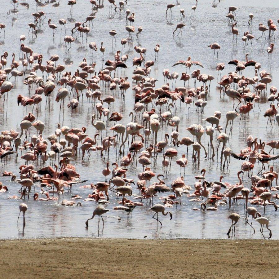 Lake Manyara National Park, Tanzania