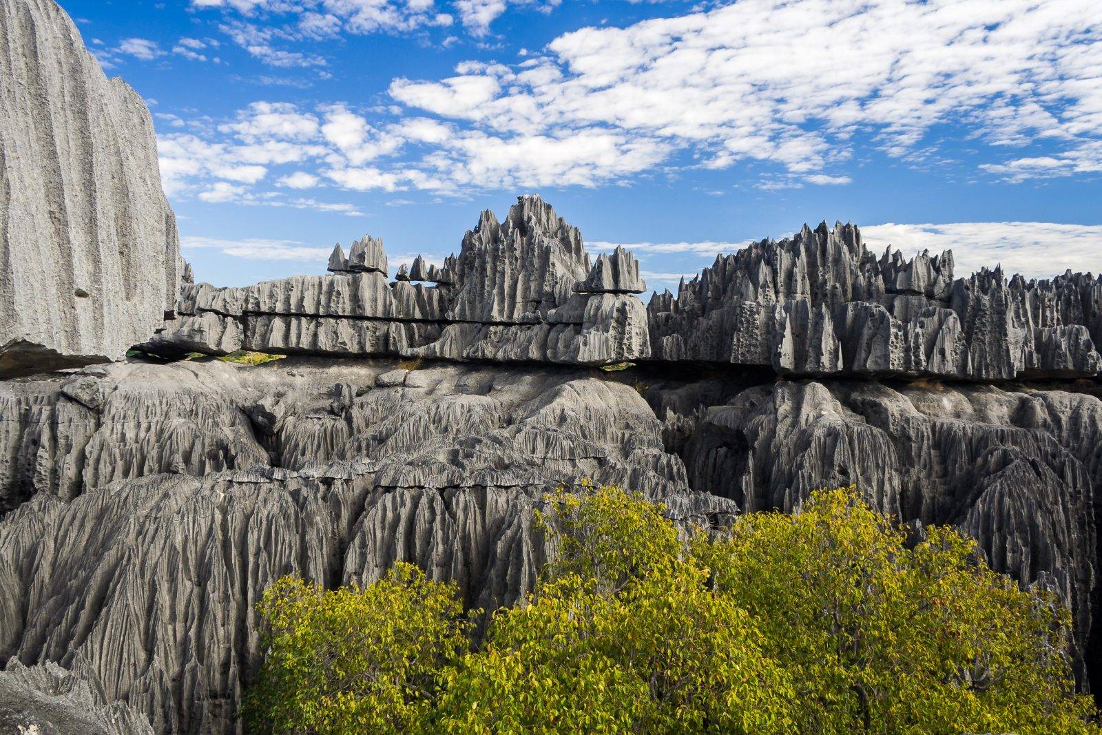 Tsingy De Bemaraha Nature Reserve Madagascar Jenman African Safaris