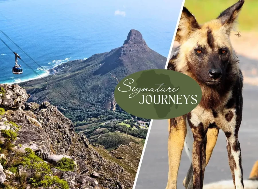 Cape Town and Kruger Signature Journey Tour Banner