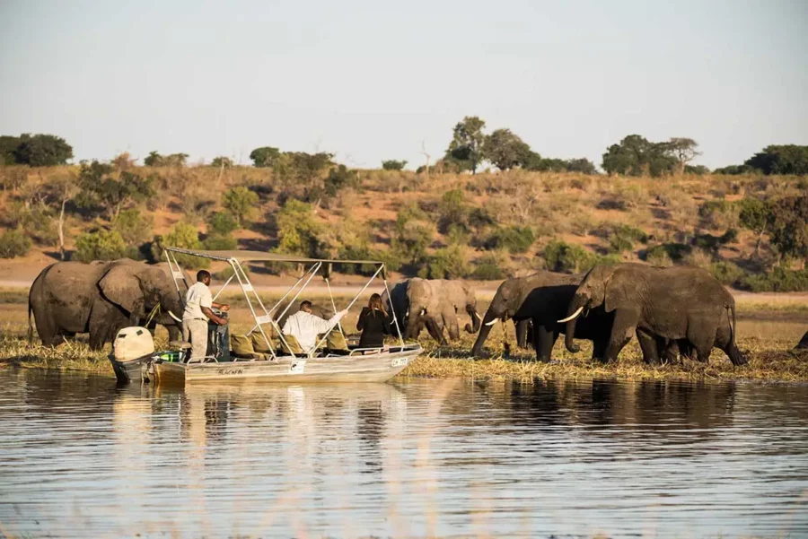 Chobe River Cruise, Chobe National Park