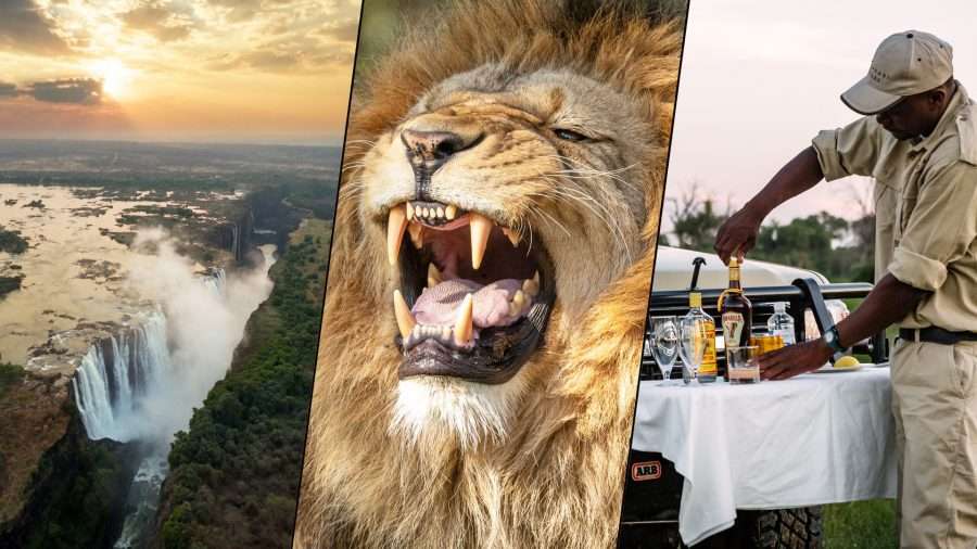 Botswana Safari Escape - 10 Days