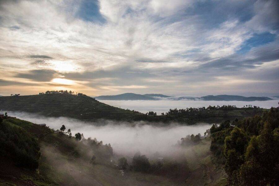 Bwindi Impenetrable Forest - Uganda 01