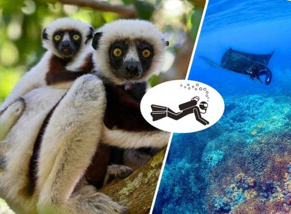 Madagascar Diving & Wildlife Adventure