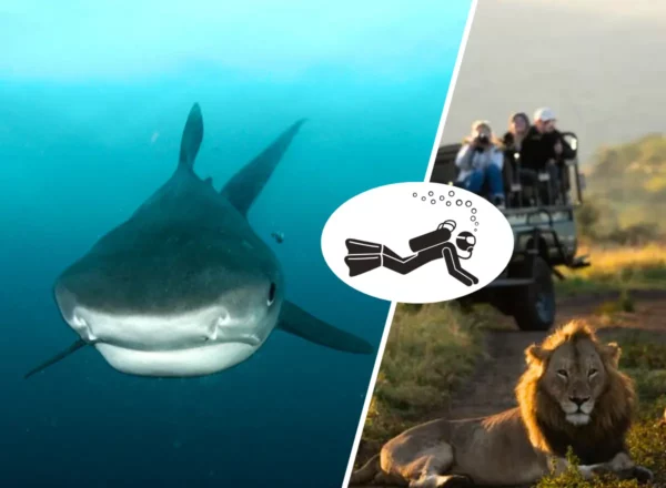Aliwal Shoal, Sodwana Bay & Wildlife Safari 10 days
