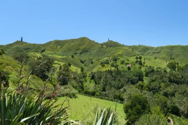 Diana's Peak National Park, Saint Helena Island