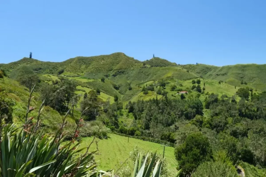 Diana's Peak National Park, Saint Helena Island