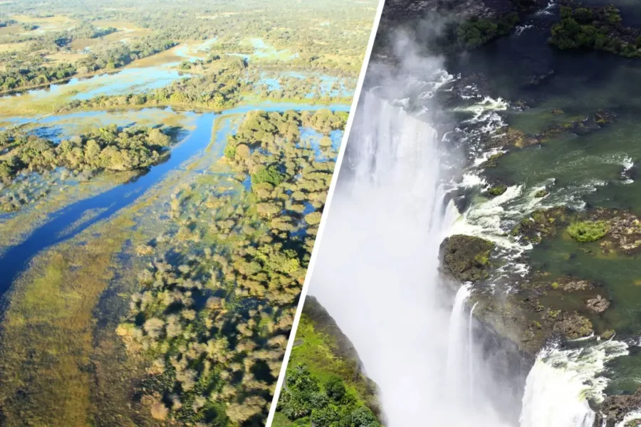 Botswana vs Zimbabwe Safari