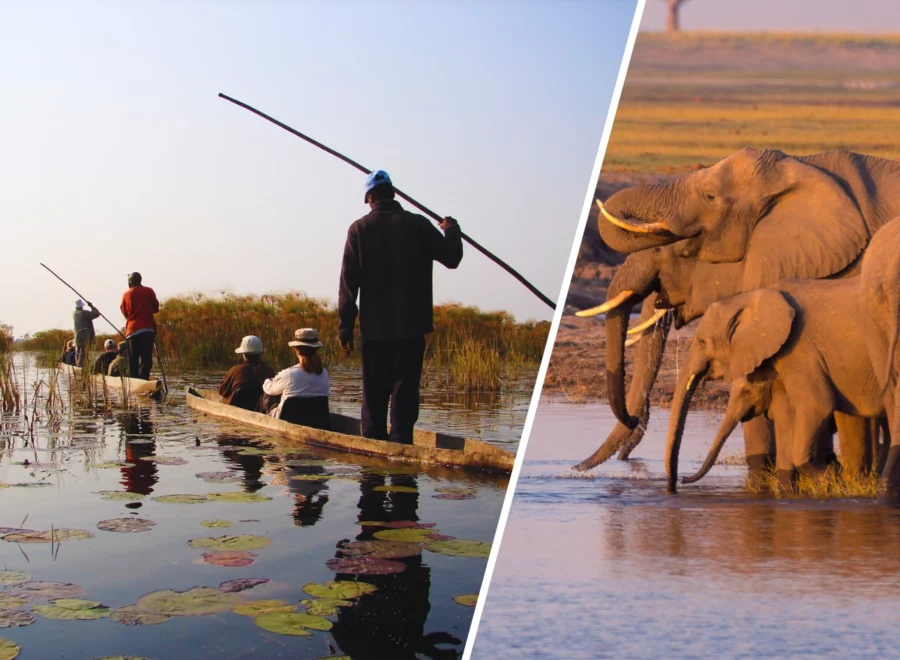 Best of Botswana 11 days