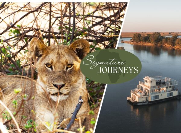 Victoria Falls, Chobe Houseboat & Hwange