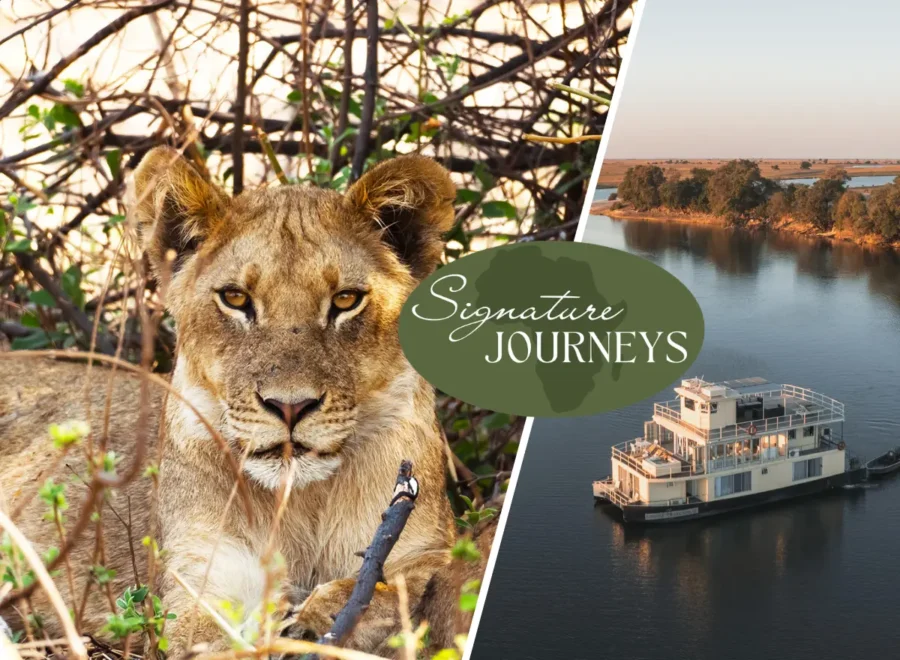 Victoria Falls, Chobe Houseboat & Hwange 8 Days