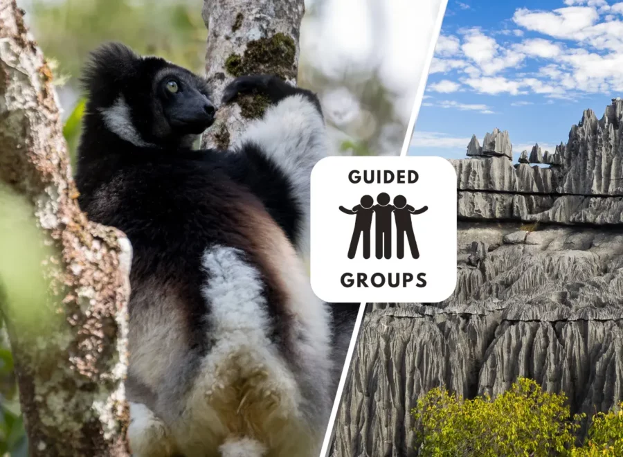 Wild Wonders of Madagascar