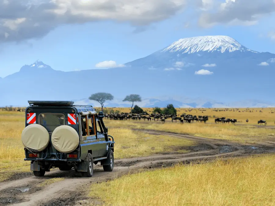 Self-drive safari tours in Tanzania
