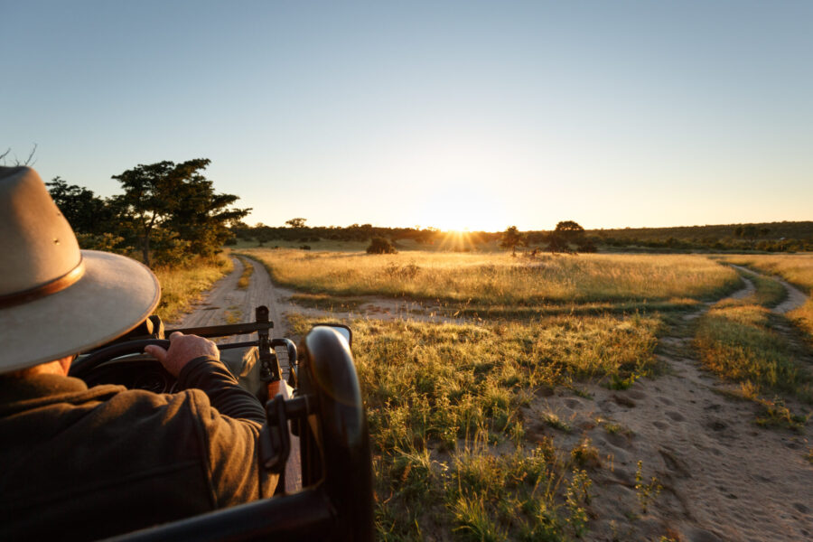 Experience a game drive in Kruger National Park