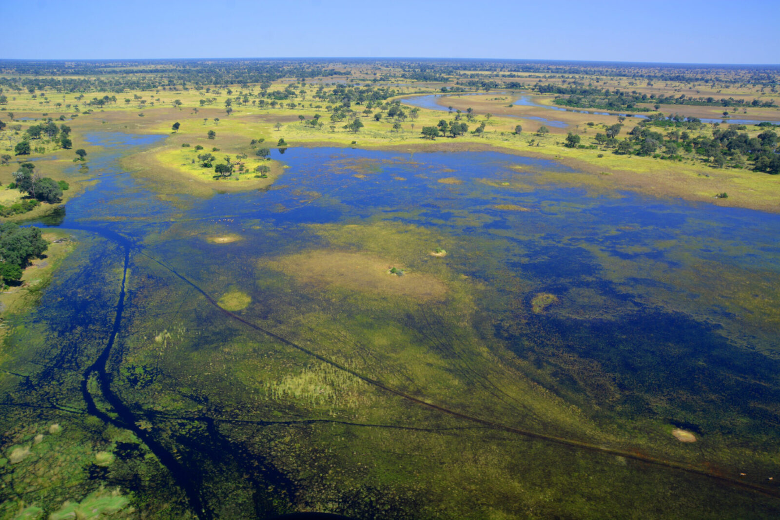 Aerial view of the Okavango Delta wetlands showing winding waterways, islands, and floodplains in Botswana