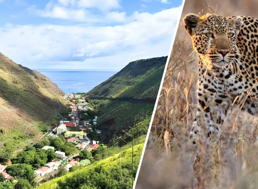 Cape Town, Saint Helena and Kruger Safari Tour 13 days
