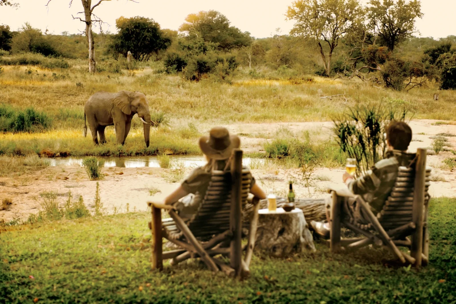 Armchair game viewing at Motswari Game Reserve, Greater Kruger, South Africa